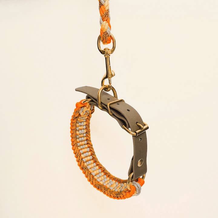 Truffe & Flair - Wholesale Pet Leash - Dog - Braided dog leash - Biothane/Paracord - Orange4