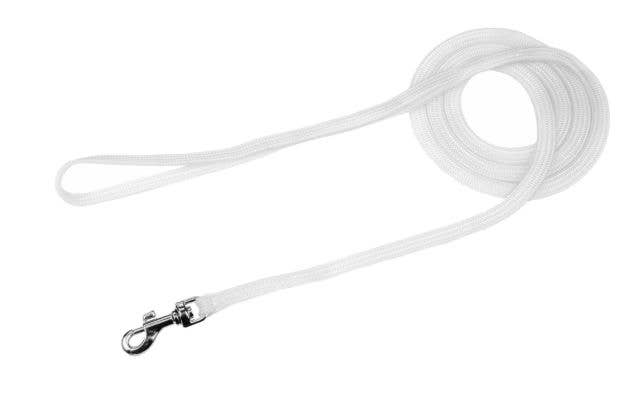 Alvalley - Wholesale Hondenriem - Hond - Alvalley nylon showlijn met schuifclip8