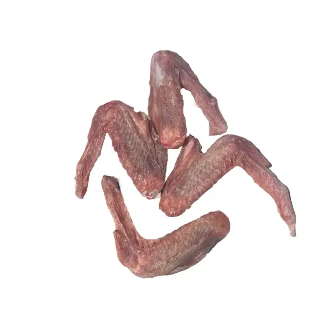 Ancestral Raw Nutrition - Wholesale Pet Treats - Dog - Raw Duck Wings - Bulk0