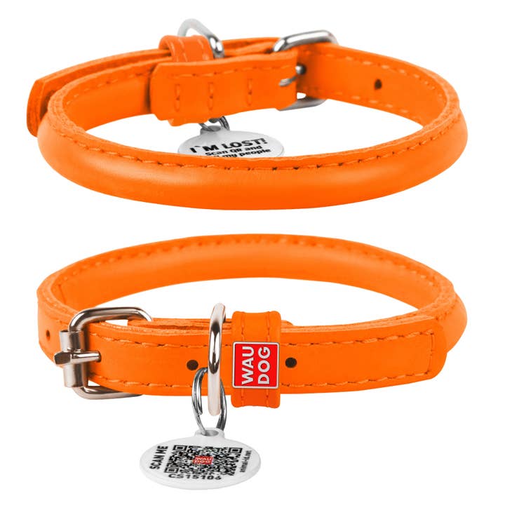 WAUDOG - Wholesale Pet Collar - Dog - Glamour Reinforced Rolled Leather Collar With Metal Clasp2