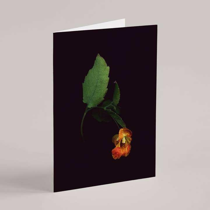 Tarjeta de felicitación / Impatiens para venta al por mayor de Raoul & Simone