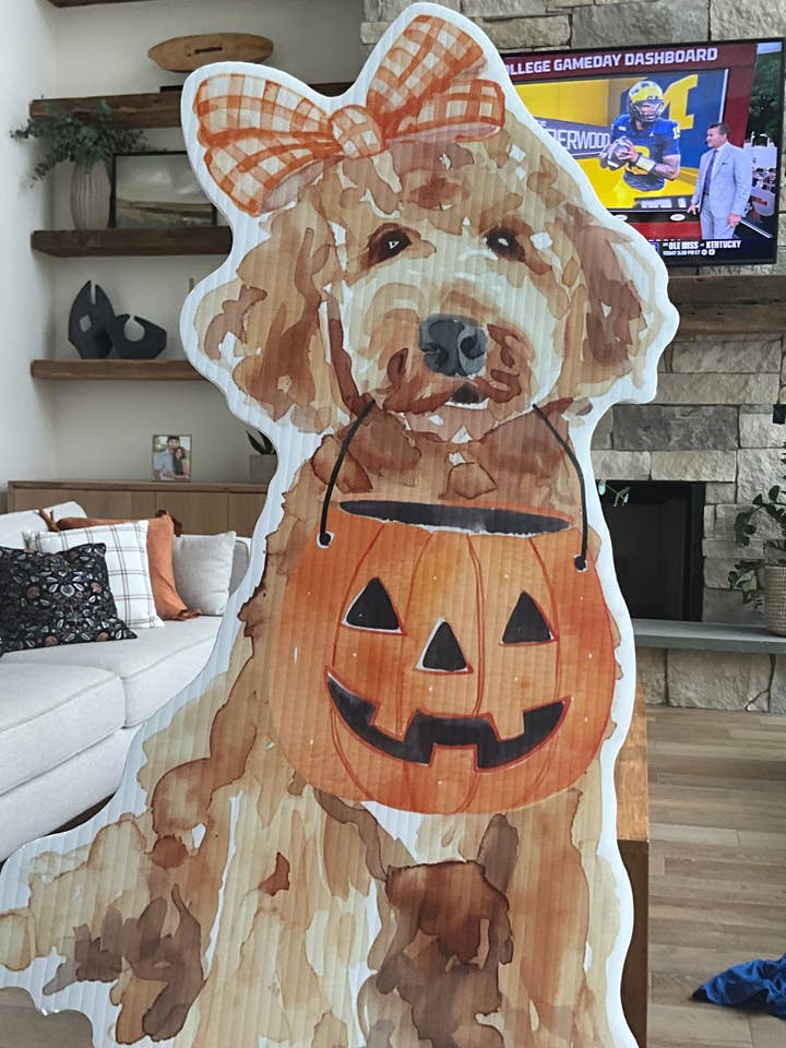 Trick-or-Treat Golden doodle for wholesale by Lovely Reese