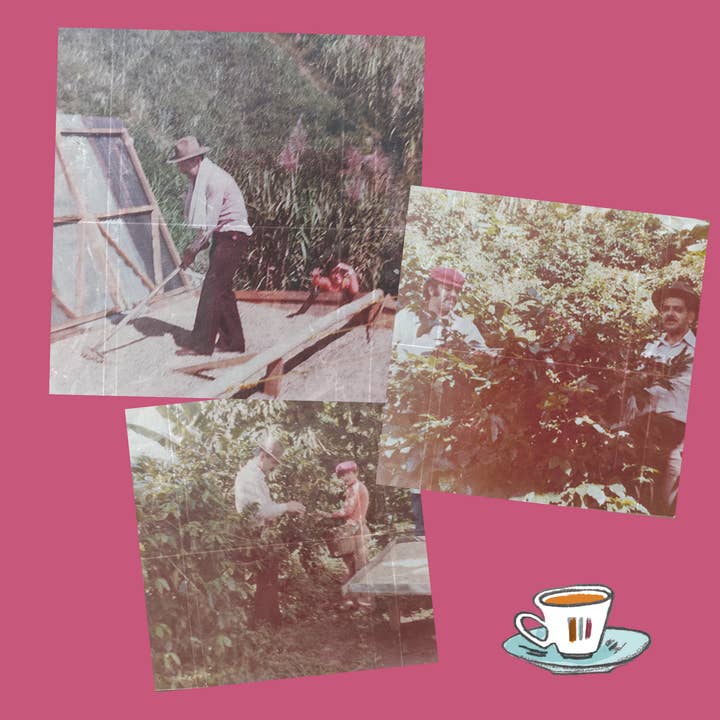 Ferris Coffee & Nut Co. - Wholesale Coffee Beans - Colombia FTO Cafe Femenino (Whole Bean) 10 oz.6