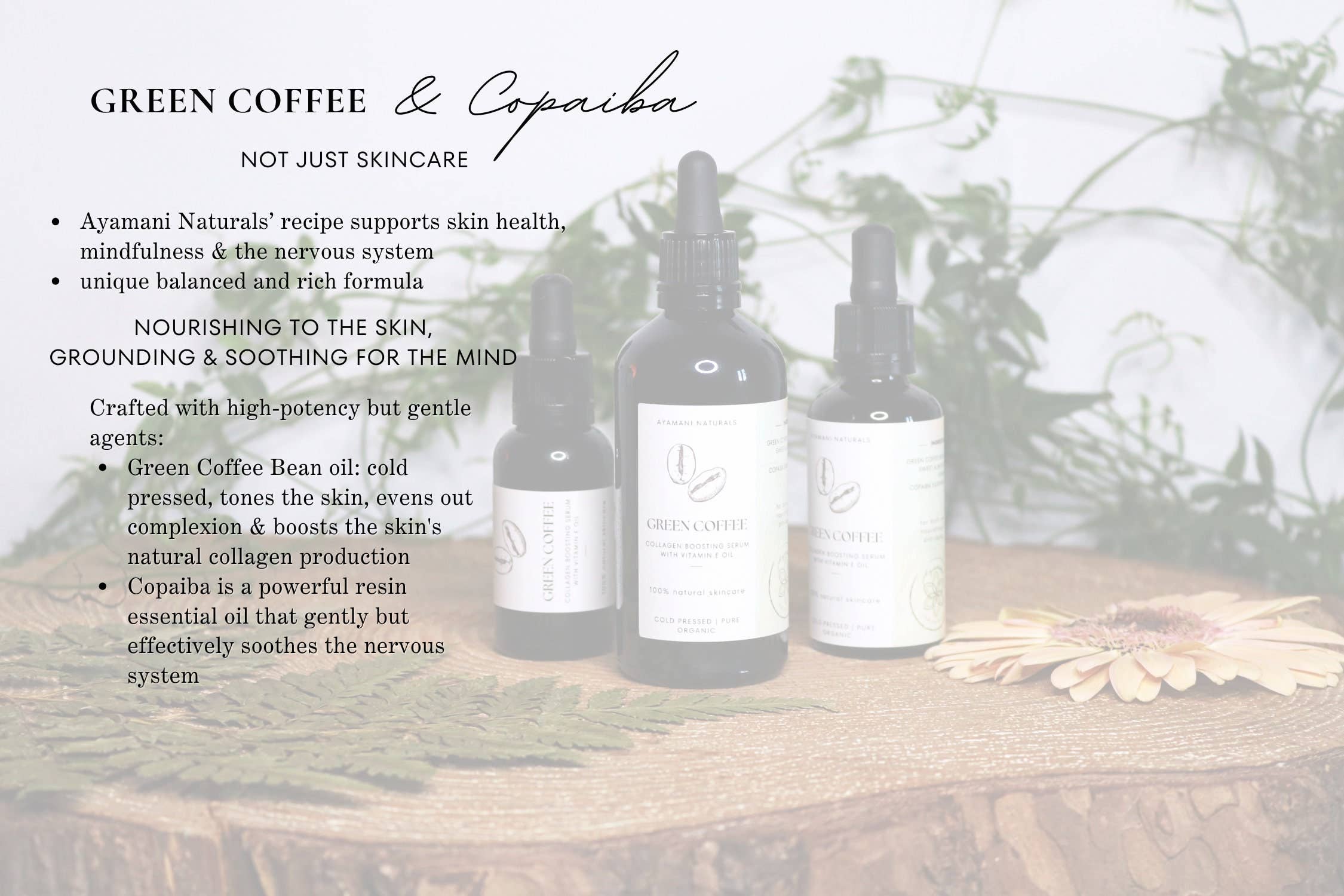 Ayamani Naturals - Wholesale Facial Serum/Concentrate - Green Coffee Collagen Boosting Anti Aging Serum with Copaiba, Natural Skincare Oil1