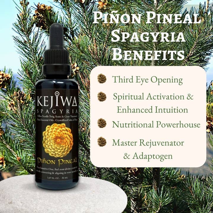 Kejiwa - Wholesale Tincture - Piñon Pineal Spagyria: Pine Herbal Tincture