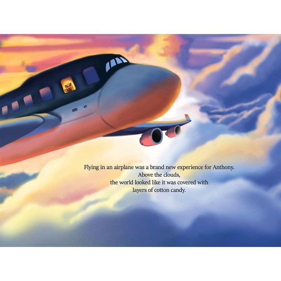 Anthony's Adventures - Wholesale Early Reader Book (6-8) - Anthony's Summer Vacation1