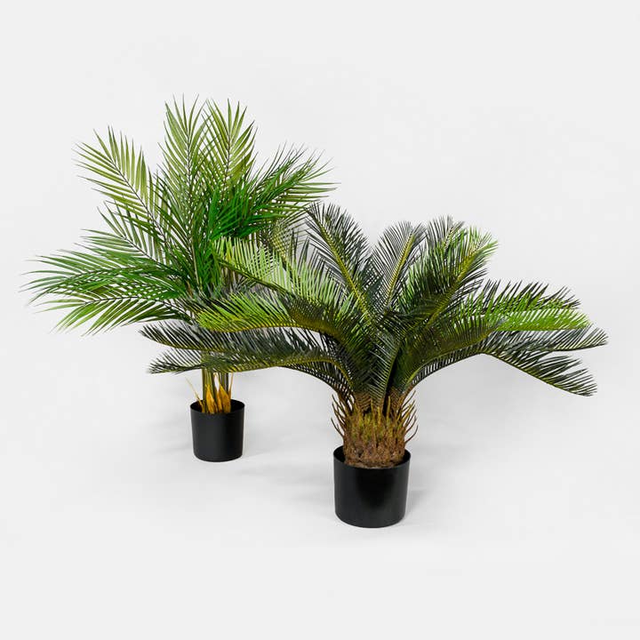 Jamali Garden - Wholesale Artificial Plant - 28 in Hawaii Kwai - Palm Tree1