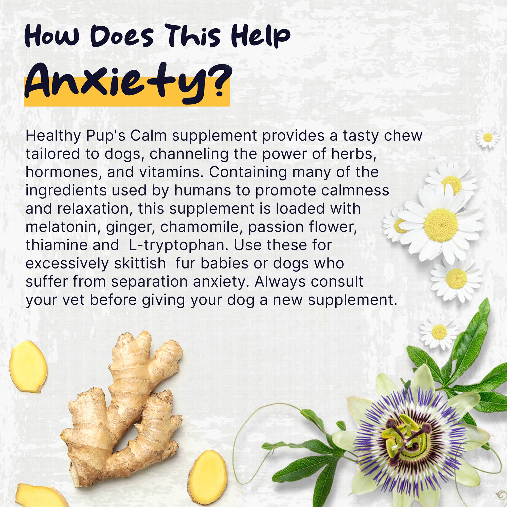 Chew + Heal - Wholesale Pet Supplement - Dog - Healthy Pup Calm, Anxiety & Behavior Supplement for Dogs2