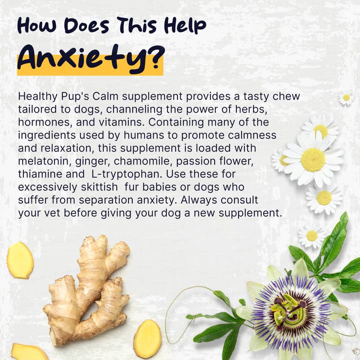 Chew + Heal - Wholesale Pet Supplement - Dog - Healthy Pup Calm, Anxiety & Behavior Supplement for Dogs2