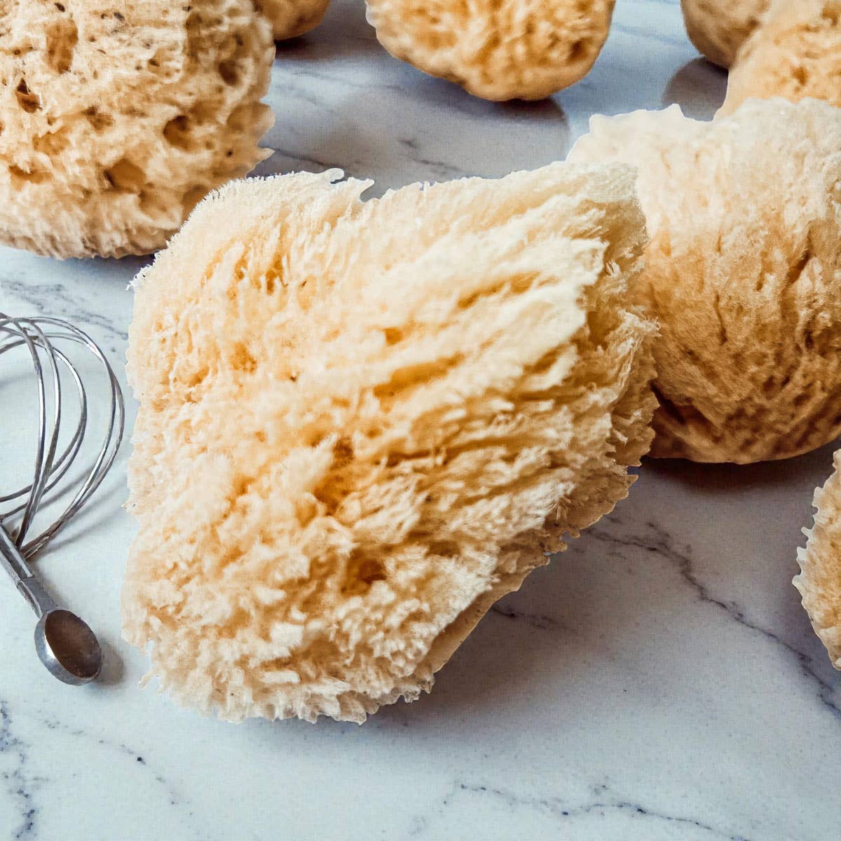 Gia Roma - Wholesale Bath Pouf/Sponge - Dead Sea Sponge, All Natural Body Wash Loofah 4-5"5