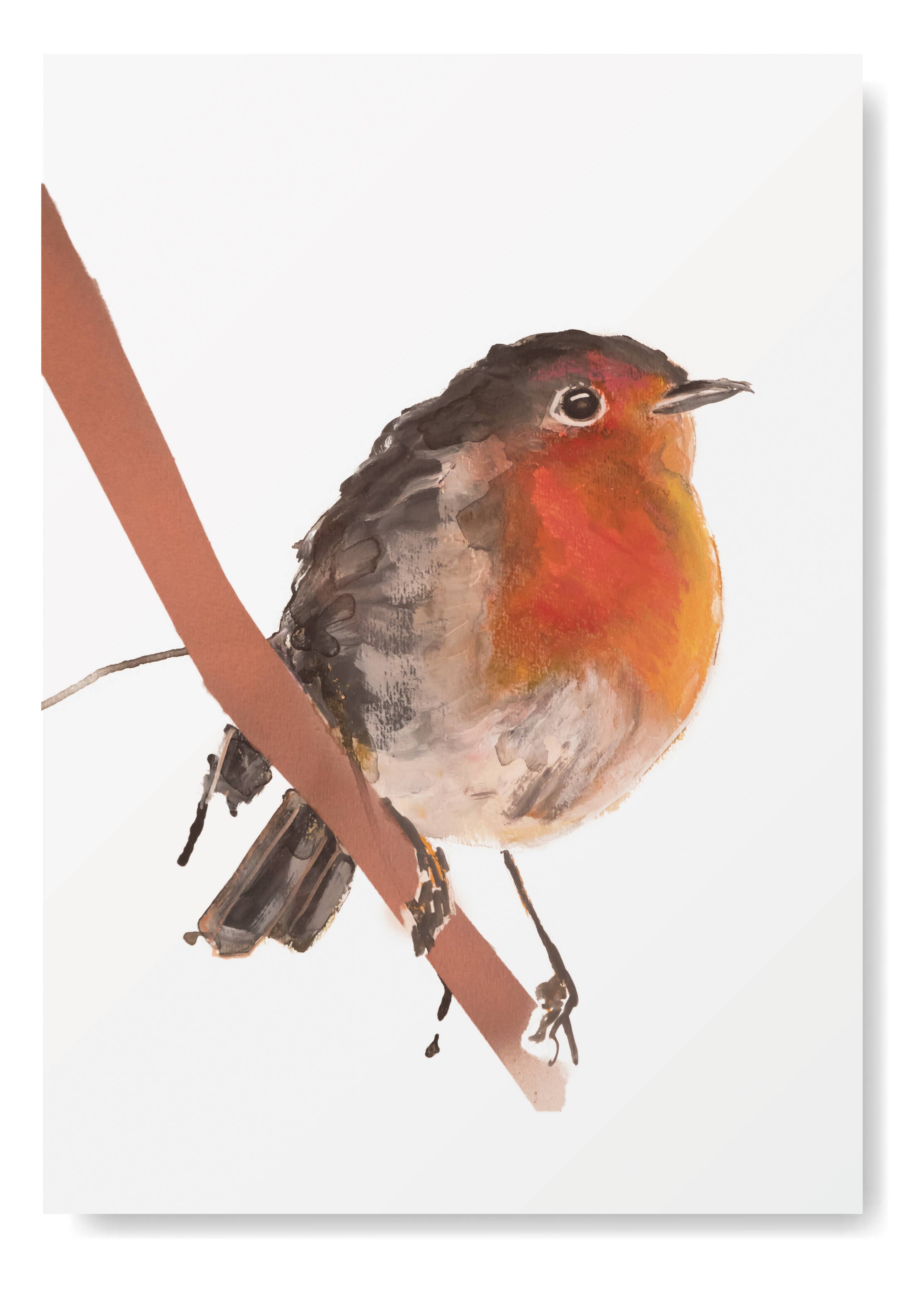 Studio Angelart - Wholesale Stationery/Notecard Set - Native Bird greeting cards set - 15 pieces4