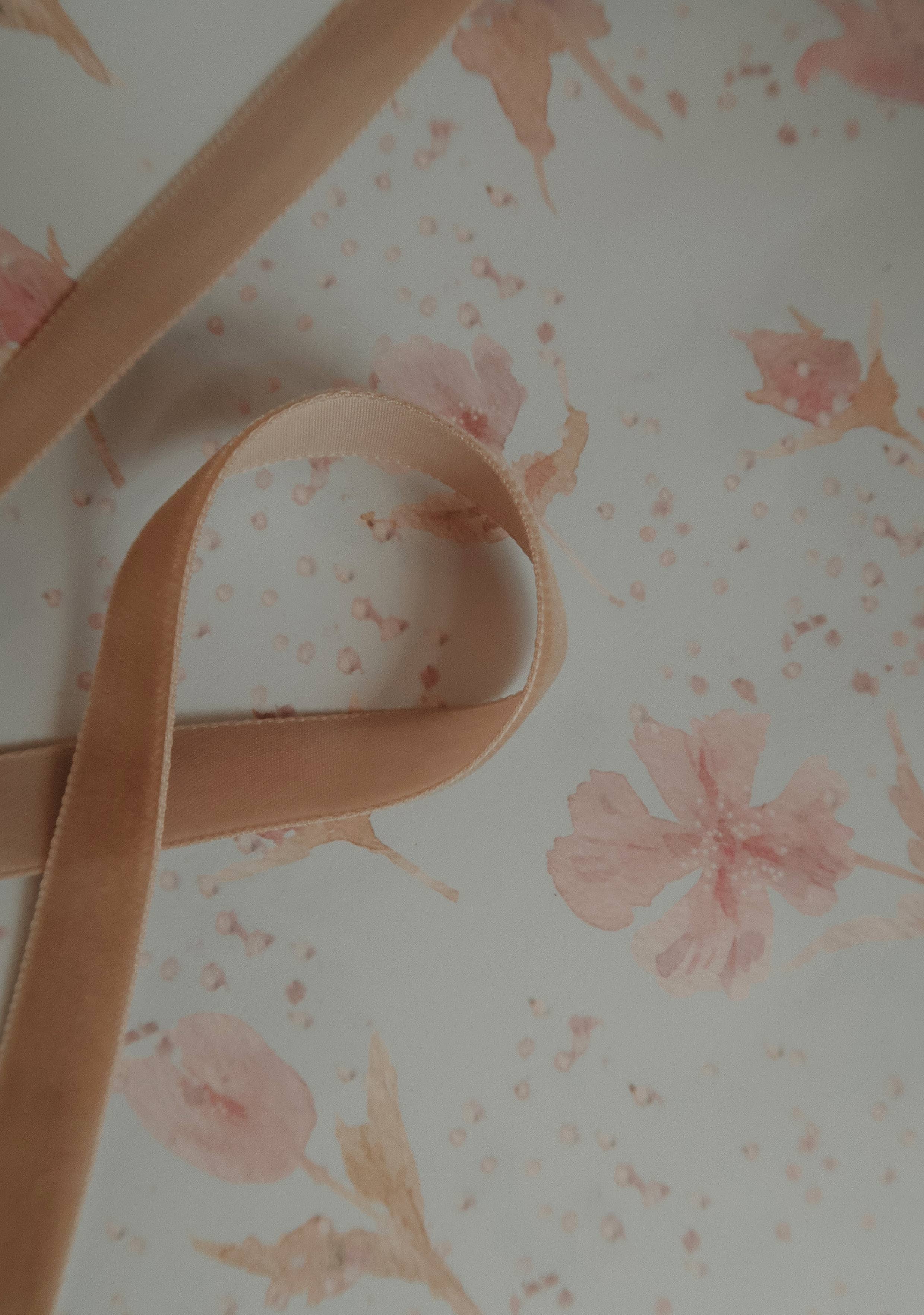 MyDesignPictures – wholesale Ribbon – Gift wrapping – Velvet ribbon LIGHT BROWN length 2,5m/width 16mm 1