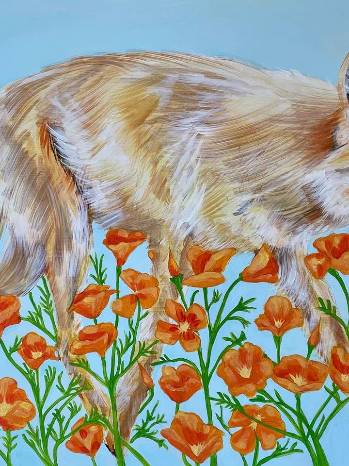 Roaming na encosta (CA Poppy) - 11"x14" Archival Giclee Pr por atacado de Chris Granillo Art