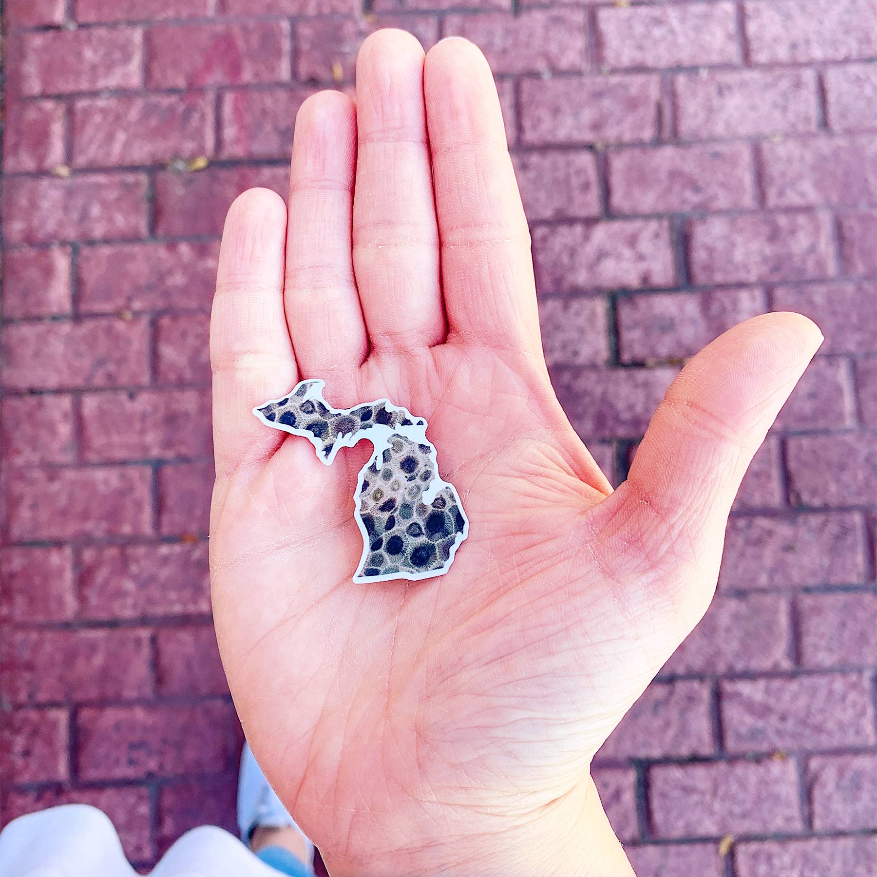 Peninsulas - Wholesale Sticker - Michigan Petoskey Stone Mini Sticker1