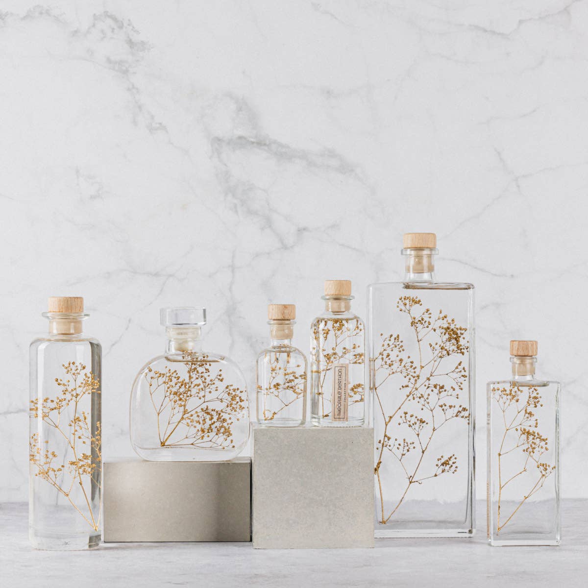 Theophile Berthon - Vente Plante - L'Herbarium Gypsophile Or - plante immergée25