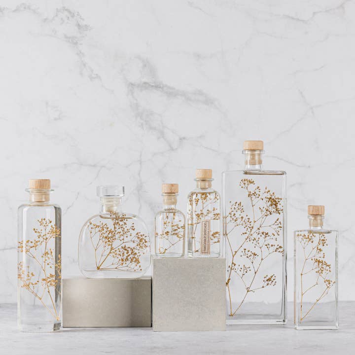 Theophile Berthon - Wholesale Live Plant - The Golden Gypsophila Herbarium - submerged plant8