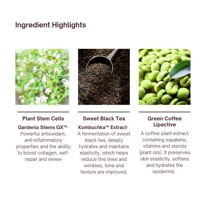 PureCeuticals Skin Care - Wholesale Facial Moisturizer - Plant Stem Cell & Kombuchka Crème5