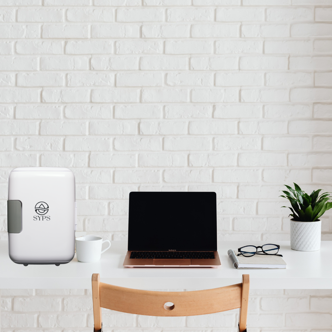 SYPS - Wholesale Portable/Mini Fridge - SYPS 4L Mini Fridge3