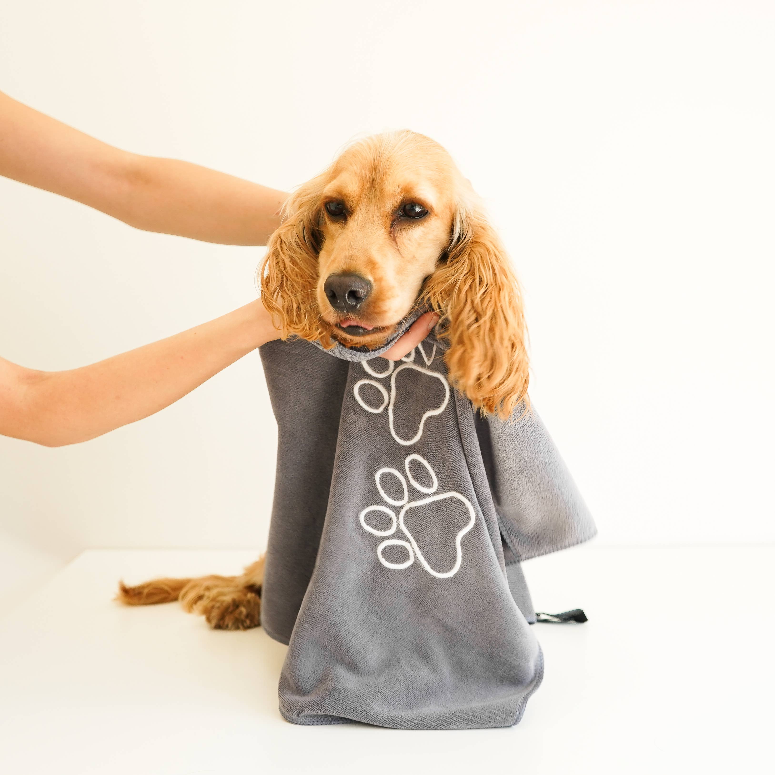 Luzia - Vente Serviette – chien - Serviette pour animaux de compagnie | Unconditional Love by Luzia5