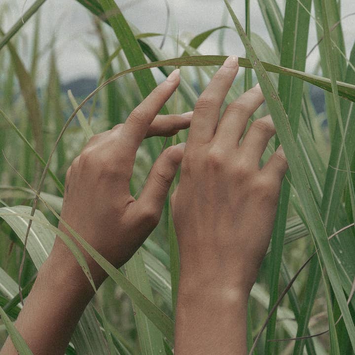 Flora Vesta - Wholesale Roll-On Fragrance - Veil Plant-Based Perfume Oil Rollerball / Sage Patchouli3