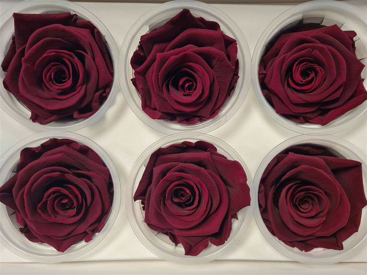 Dutch Flower Studio - Wholesale Artificial Flowers - 🌸 Preserved Roses - 13 colors - Decoration - Flowers - 6 cm4