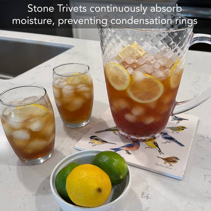 CounterArt/Highland Home/Thirstystone – wholesale Grytunderlägg – "Fågelstudie" Keramisk Stenunderlägg 8" Fyrkantig3