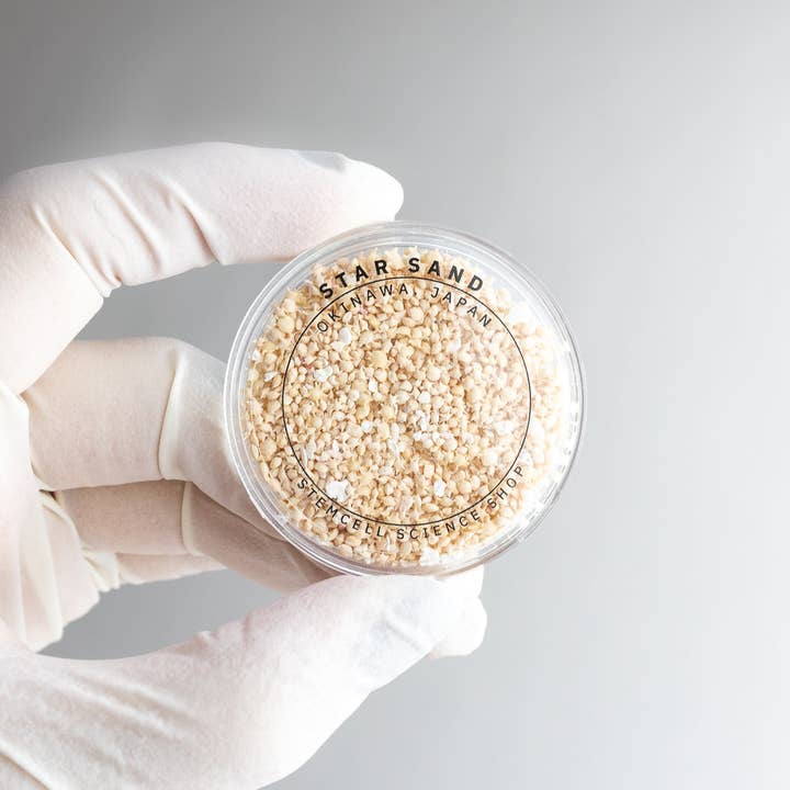 Stemcell Science Shop - Wholesale Decorative Tabletop Object - Japanese Star Sand