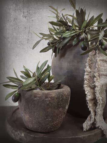 Affiche de jardin L20 : Olive pour la vente par Nino-Art