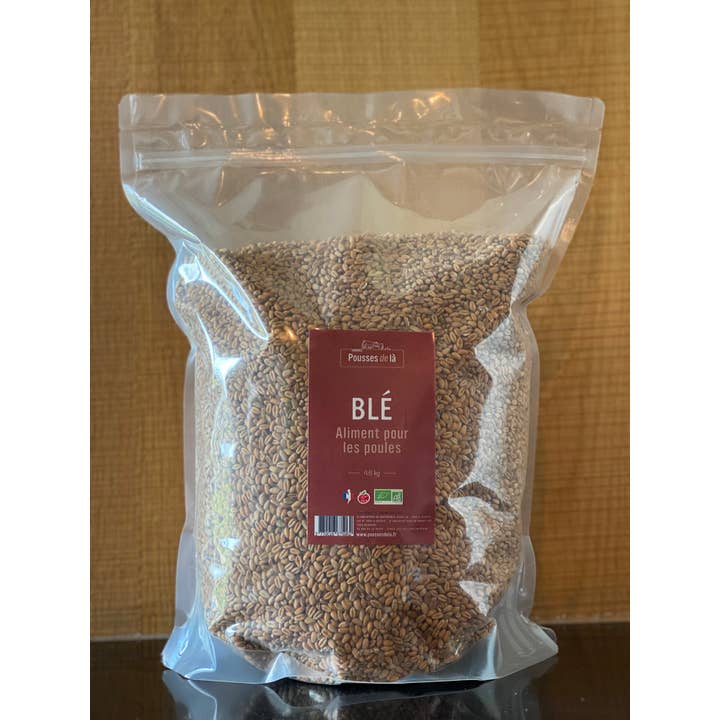 Pousses de là - Wholesale Plant Seeds - WHEAT AB 4.6KG