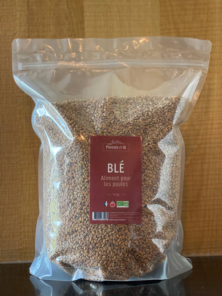 WEIZEN AB 4,6 KG für den Großhandel von Pousses de là