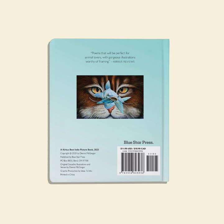 Paige Tate & Co. - Vendita all'ingrosso Libro per neonati e bambini (0-2) - Hai Rubato il Mio Nome: Un Libro Cartonato per Bambini sulla Taglia delle Calze4