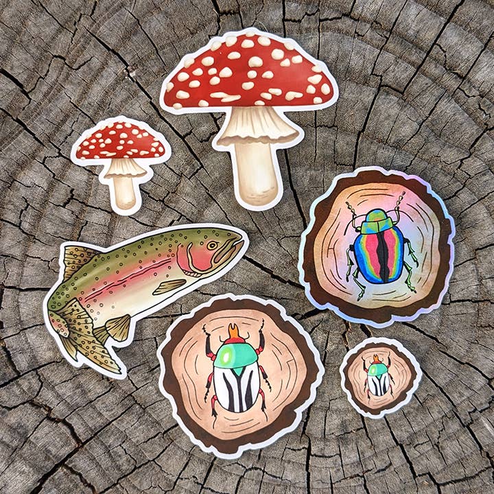 Little Studio Collective - Wholesale Sticker - Rainbow Beetle Sticker2