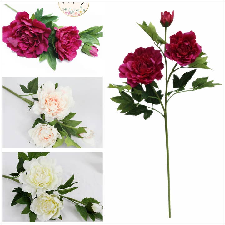 Angel Isabella - Wholesale Artificial Flowers - 26"-Premium Collection-Real Touch Moisturized Peony Stem
