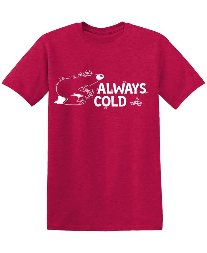 Feelin Good Tees - Wholesale Shirt - Men's - Always Cold13