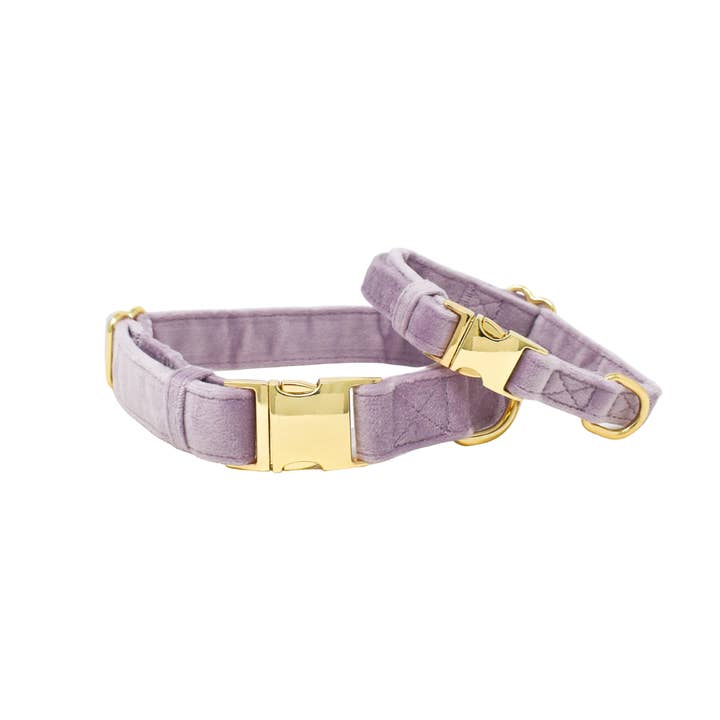 Billie Dog Collar | Lilac Dog Collar | Dog Collar for wholesale by Pink Papyrus | Premium, Durable, & Stylish Dog Products