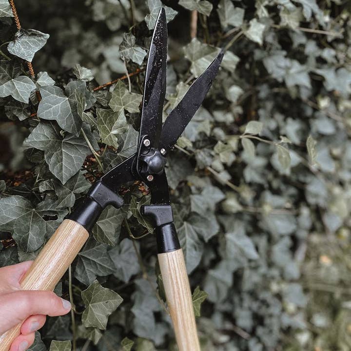 by Benson - Wholesale Garden Tool - Garden Hedge Shears Deluxe3