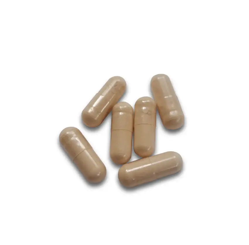 Ancient Purity – wholesale Oral supplement/vitamin – Lion's Mane Mushroom 60 x 425mg Capsules | Organic UK Grown4