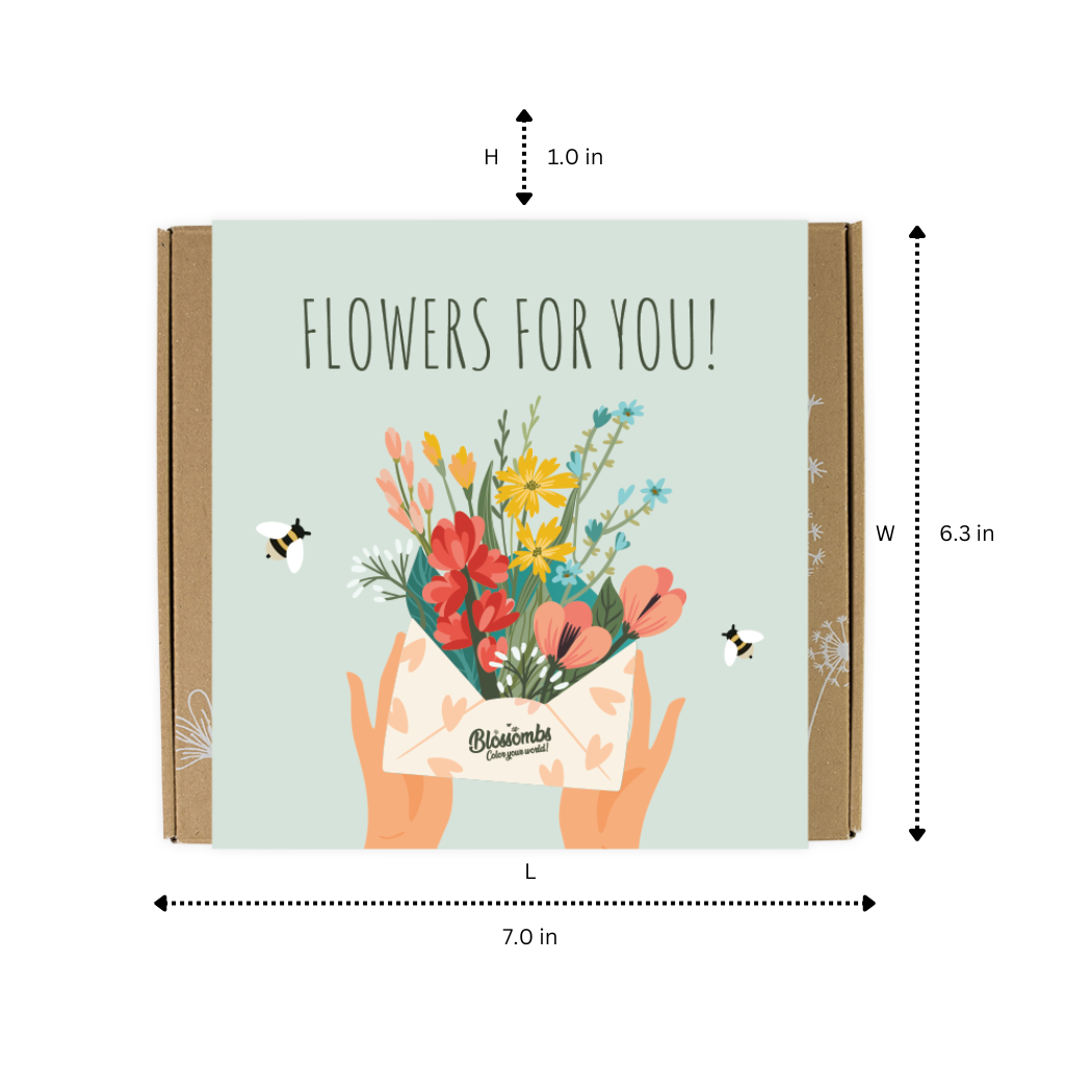 Buzzy Seeds Grow Gifts - Vente Graines de plantes - Boîte de graines de fleurs sauvages moyennes – Fleurs pour vous cadeau (9)7