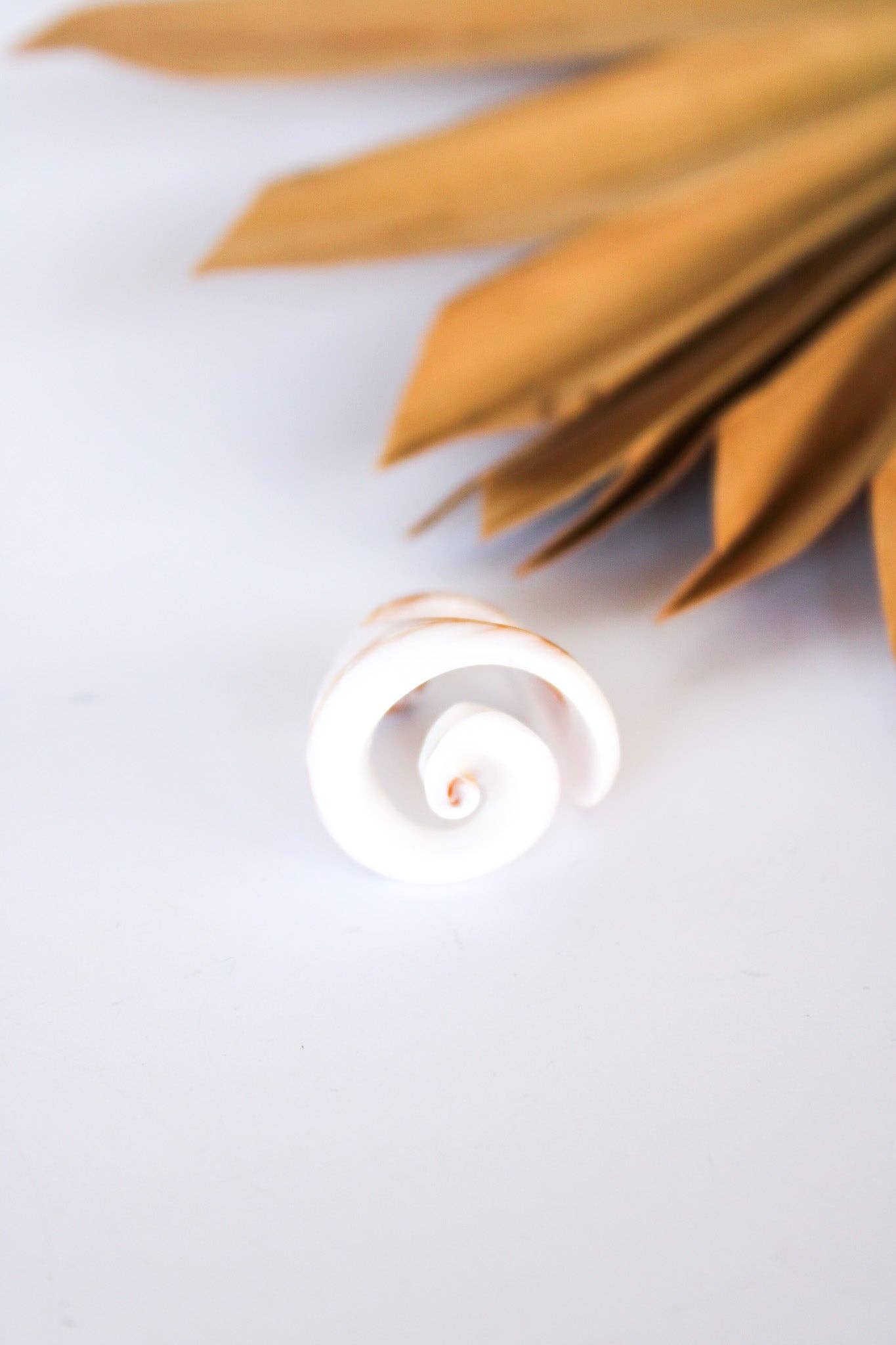 Bali Queen - Wholesale Cocktail/Statement Ring - Bali Shell Rings31