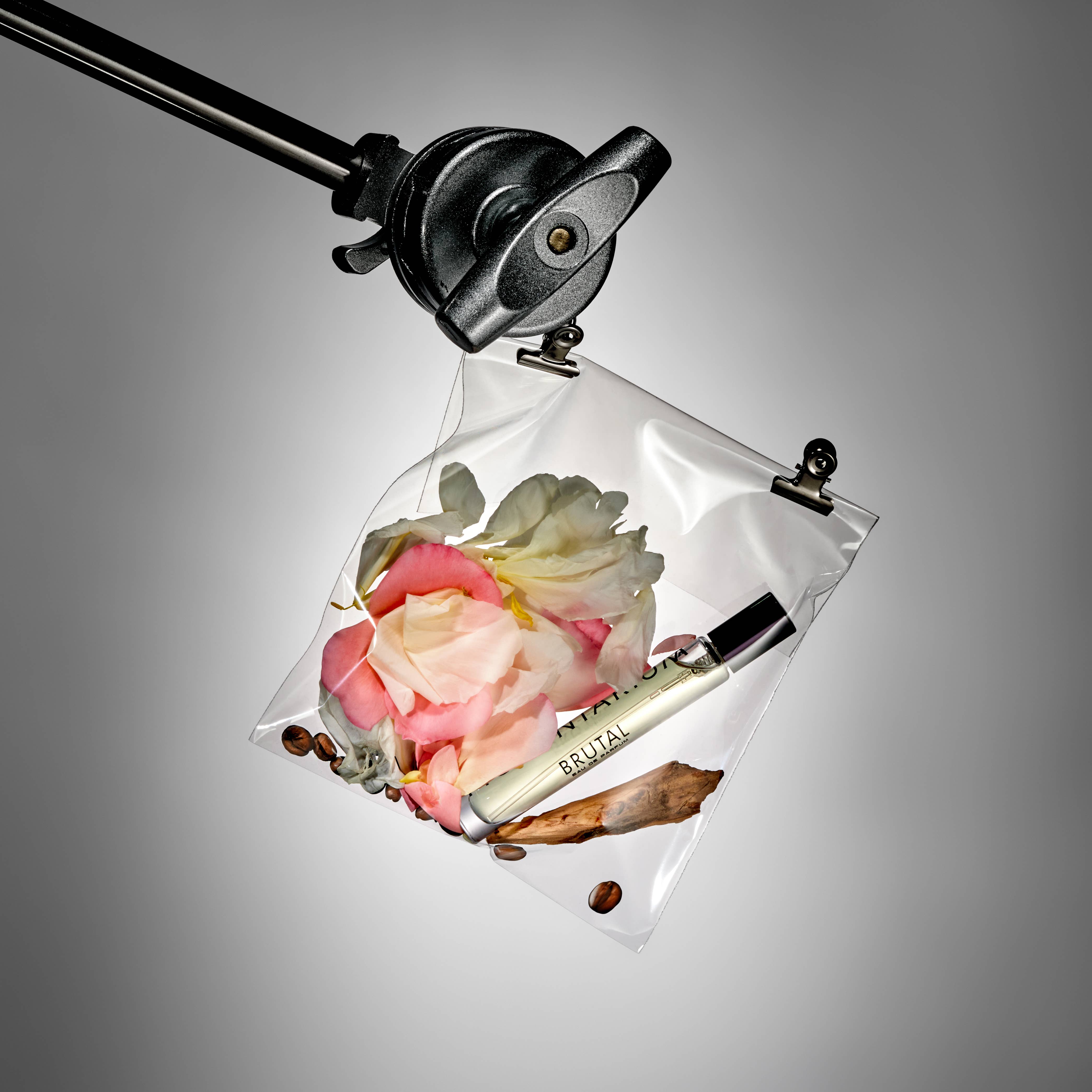 Pigmentarium – Perfume/Eau de Toilette por atacado – Brutal 10ML1