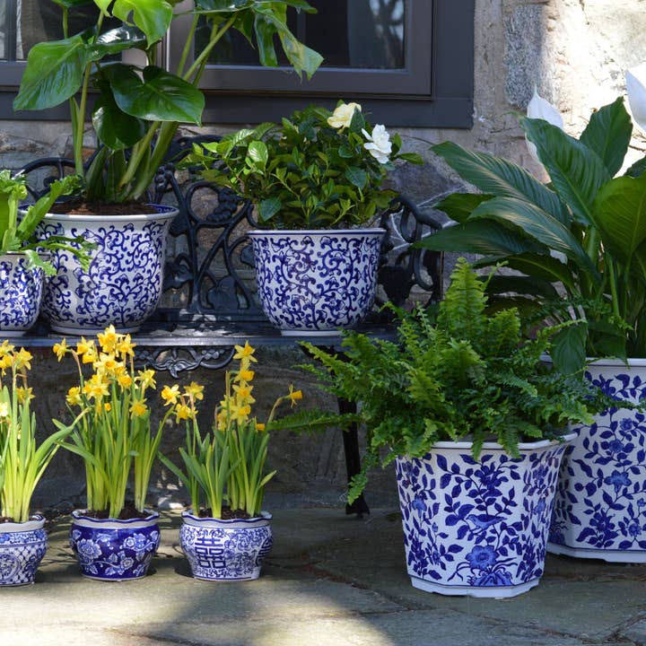 Euro Ceramica Home | ClayBarn - Wholesale Plant Pot - Blue Garden 10" Aviary Garden Planter3