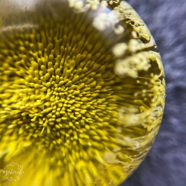 Resin Pro UK - Wholesale Craft Supplies - “TRANSPARENT” – Ultra Clear Multipurpose Epoxy Resin – Bests6