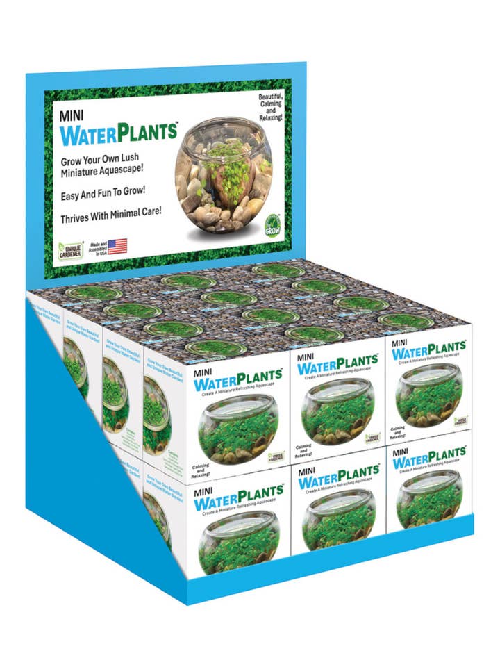 Mini Plantes Aquatiques Présentoir de Comptoir 24 Pièces pour la vente par Silver Circle Products