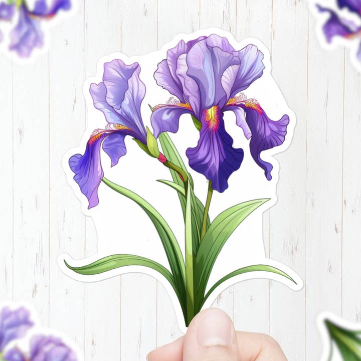Vinilo Flor Iris para venta al por mayor de Mystical Clarity