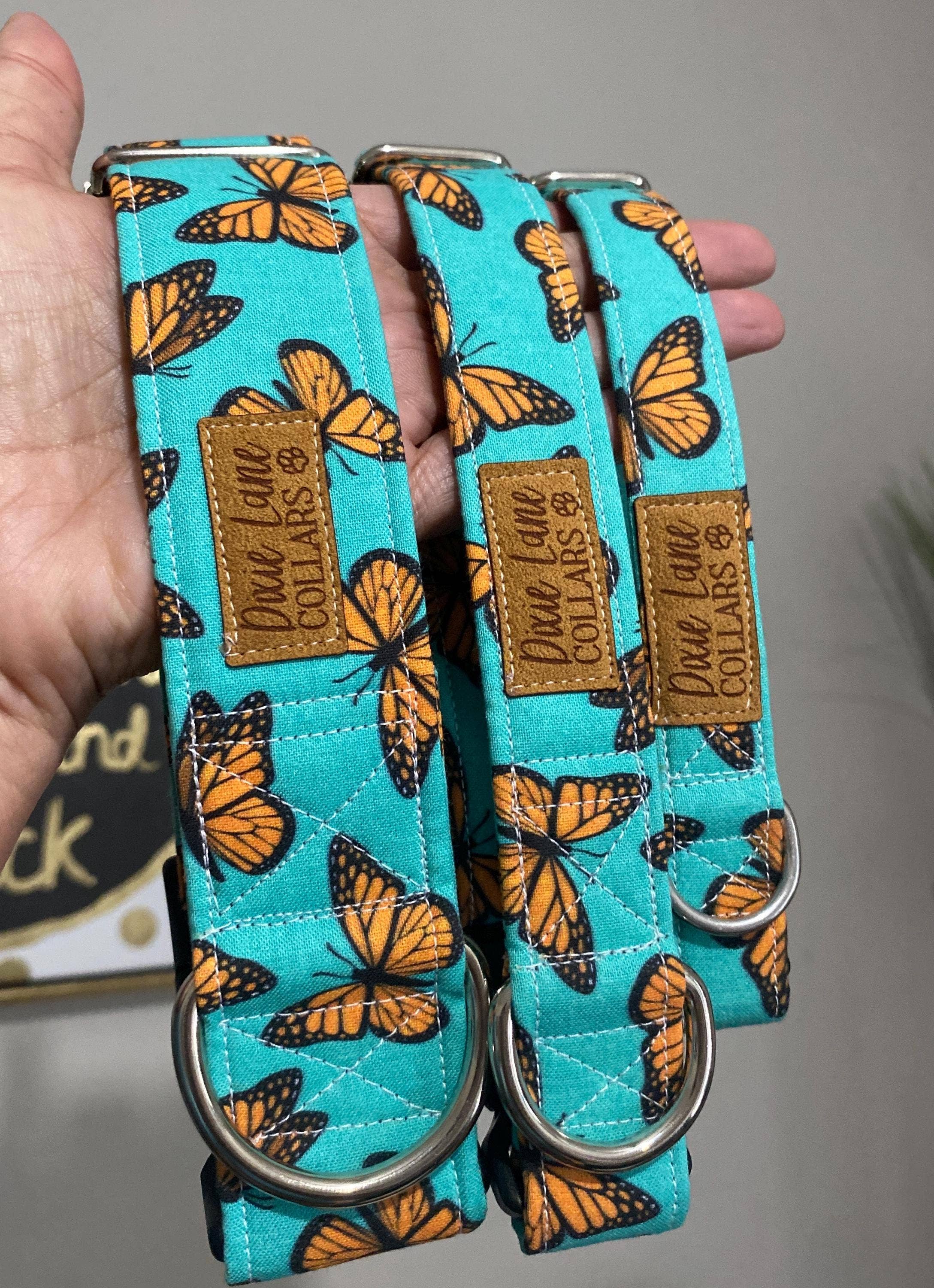 Dixie Lane Collars - Wholesale Pet Collar - Dog - Teal and Orange Butterlies Dog Collar, Dixie Lane Collars1