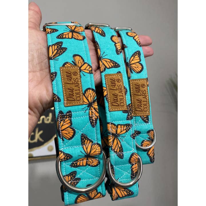 Dixie Lane Collars - Wholesale Pet Collar - Dog - Teal and Orange Butterlies Dog Collar, Dixie Lane Collars1