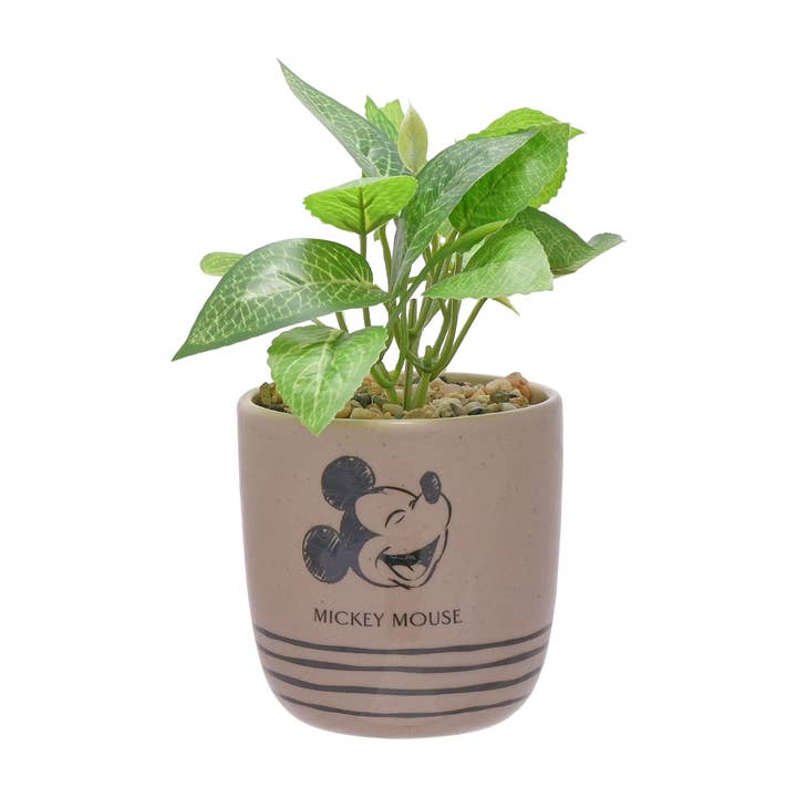 WIDDOP and Co. - Venta al por mayor Plantas artificiales - Maceta Disney Mickey