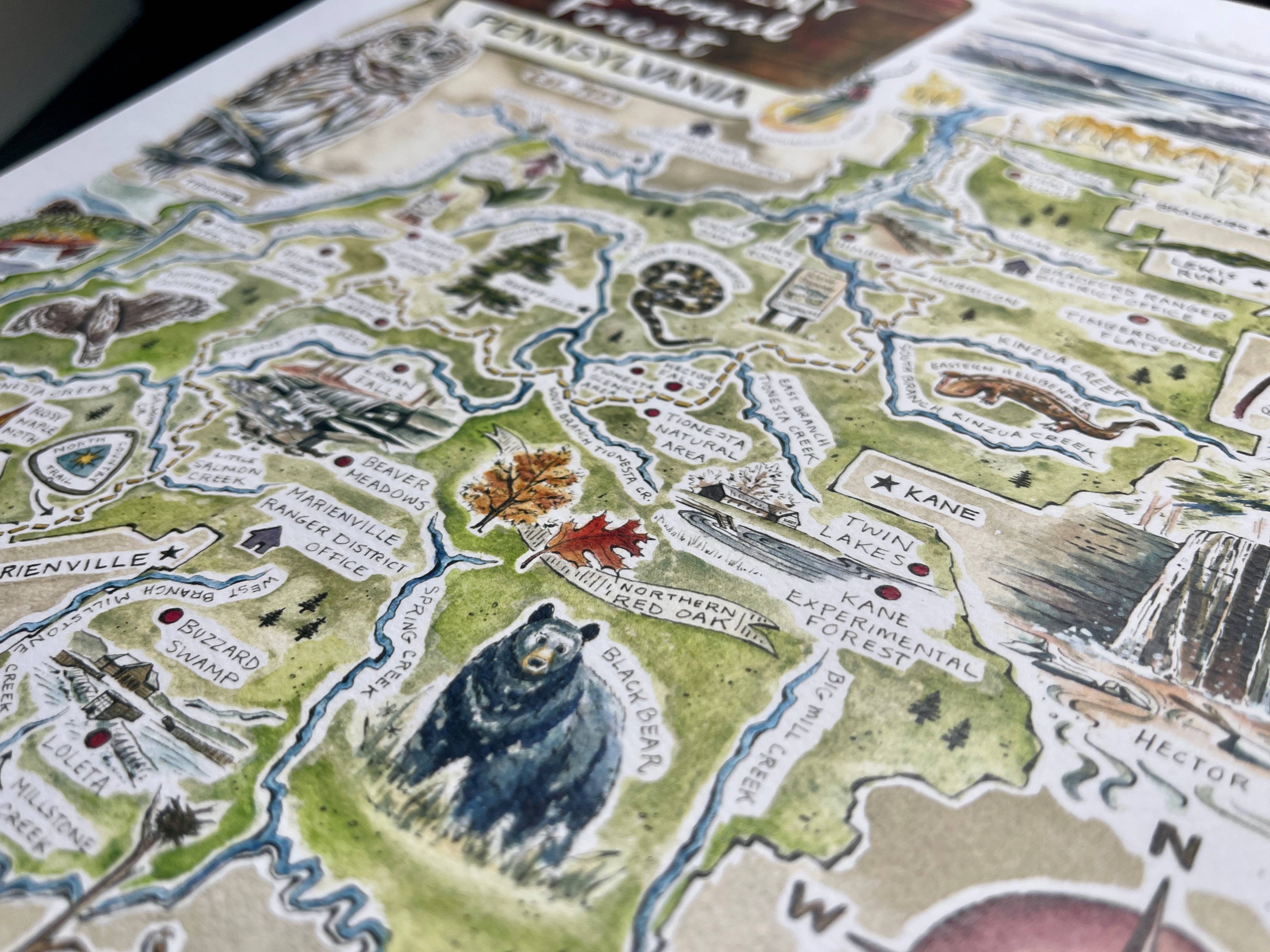 Rosalie Haizlett Illustration – wholesale Map – Allegheny National Forest Illustrated Map5