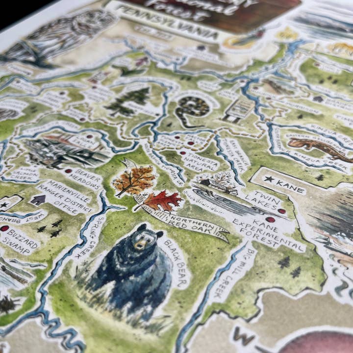 Rosalie Haizlett Illustration – wholesale Map – Allegheny National Forest Illustrated Map5