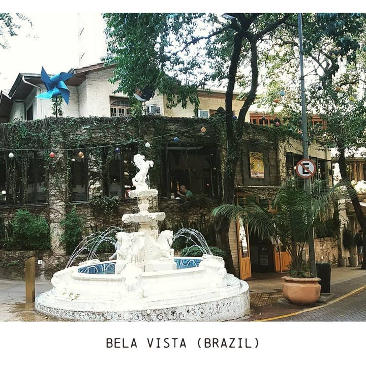 Boarding Pass Coffee - Wholesale Coffee Beans - Bela Vista (Brazil) - Super Dark Roast3